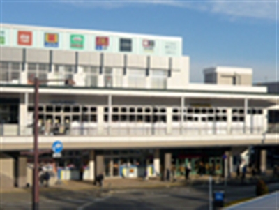 TSUTAYA �k�K�u��w�O�X